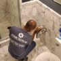 When to Call the Professionals: Signs Your Stone Needs Help